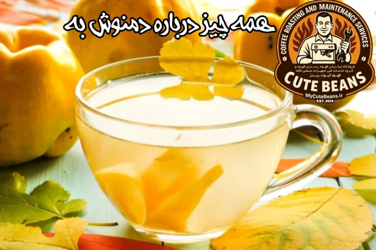 همه چیز درباره دمنوش به