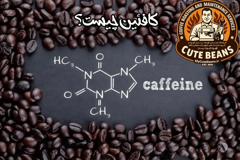کافئین چیست ؟! | همه چیز درباره کافیین و خواص کافئین