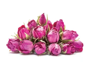 همه چیز درباره دمنوش غنچه گل محمدی