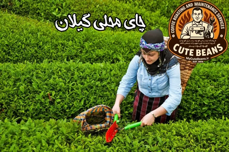 چای محلی گیلان