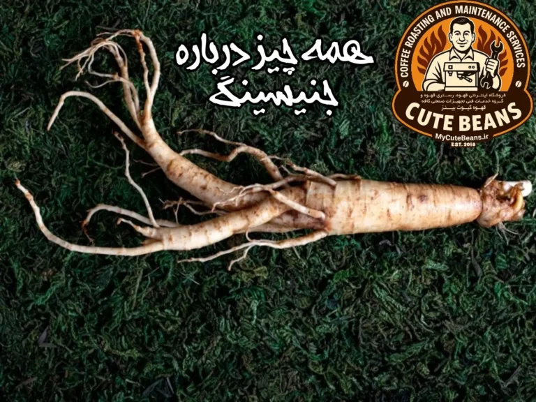 همه چیز درباره جینسینگ | جینسینگ قرمز