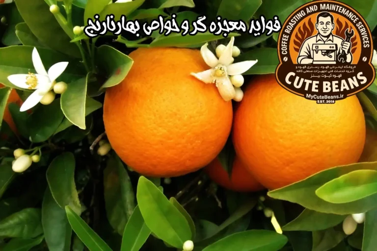 فواید معجزه گر و خواص بهارنارنج