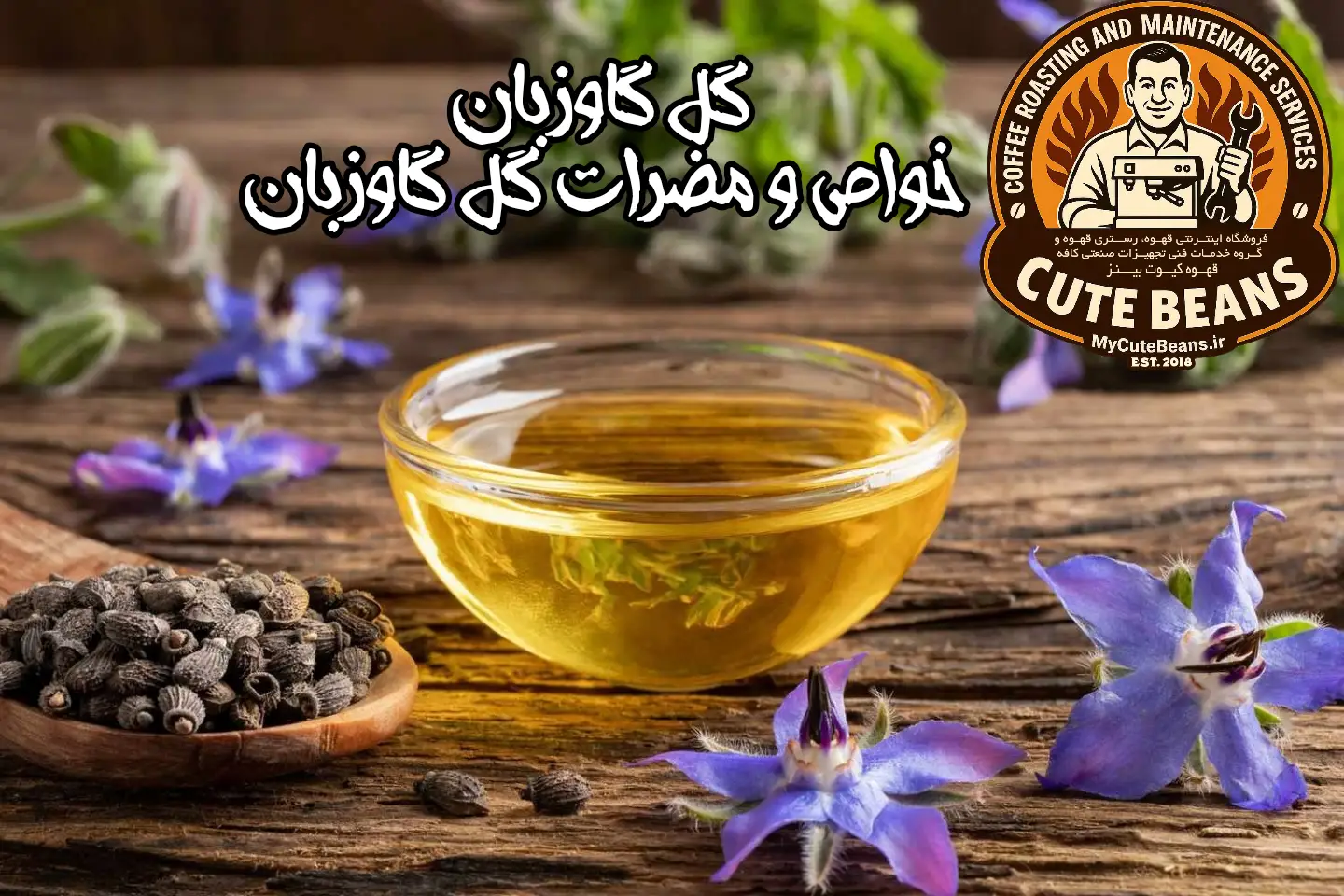 گل گاوزبان | خواص و مضرات گل گاوزبان