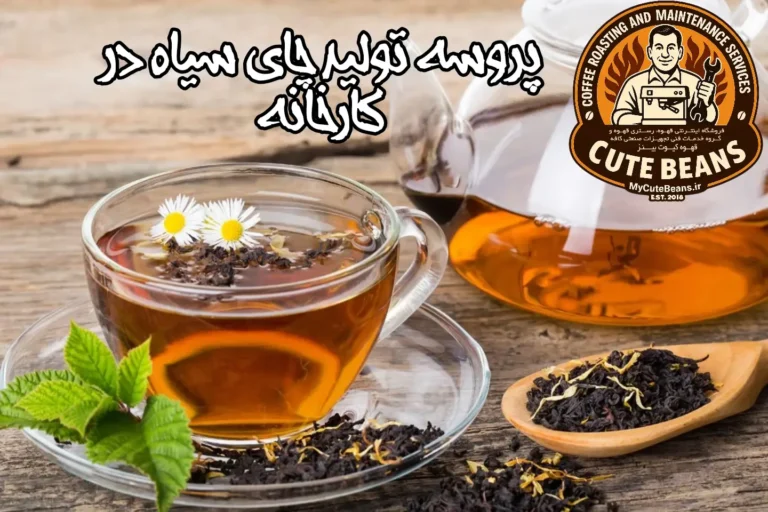 پروسه تولید چای سیاه در کارخانه