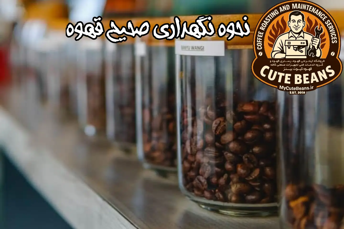 نگهداری صحیح قهوه