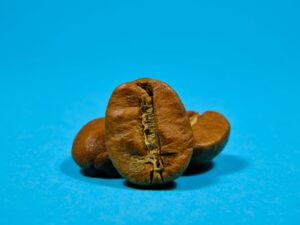 قهوه عربیکا رست شده