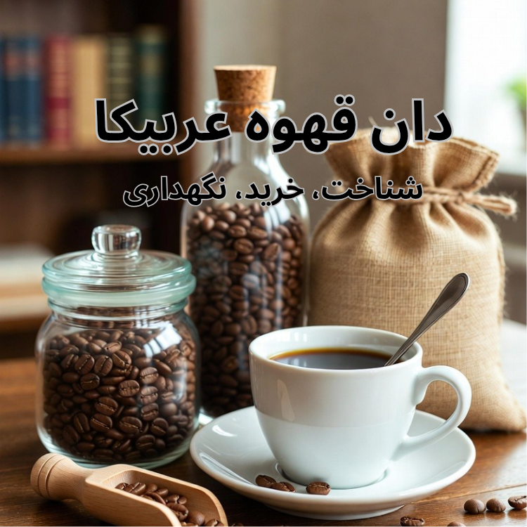 دان قهوه عربیکا